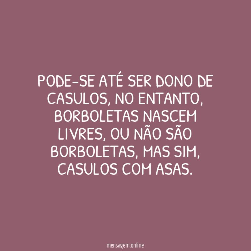 Pode-se até ser dono de casulos