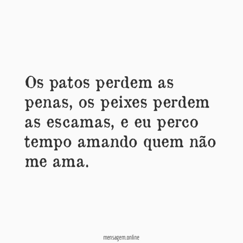 Os patos perdem as penas