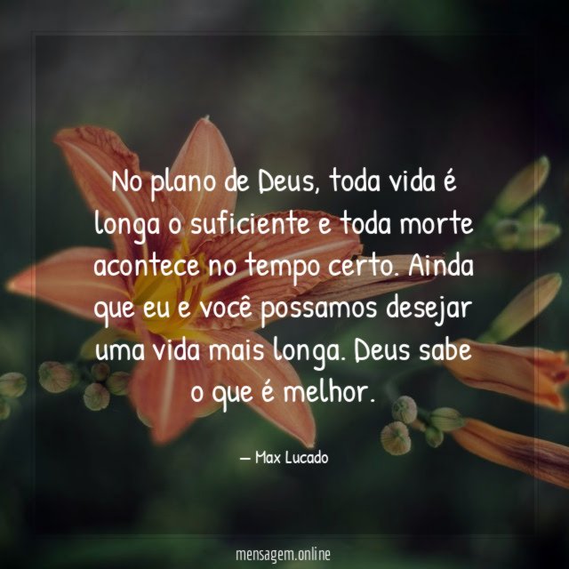 No plano de Deus