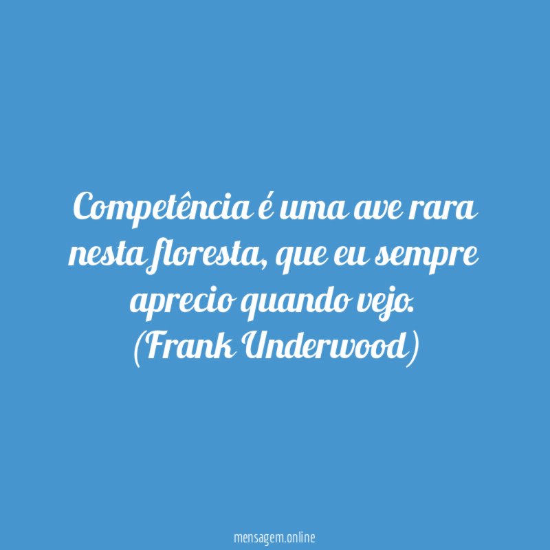 Competência é uma ave rara nesta floresta, que eu sempre aprecio quando vejo.