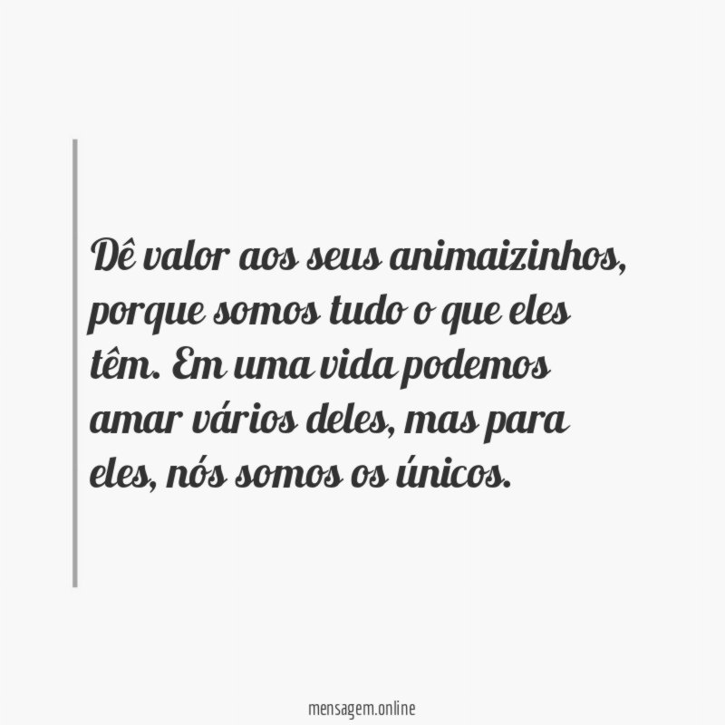 Valorize os animais