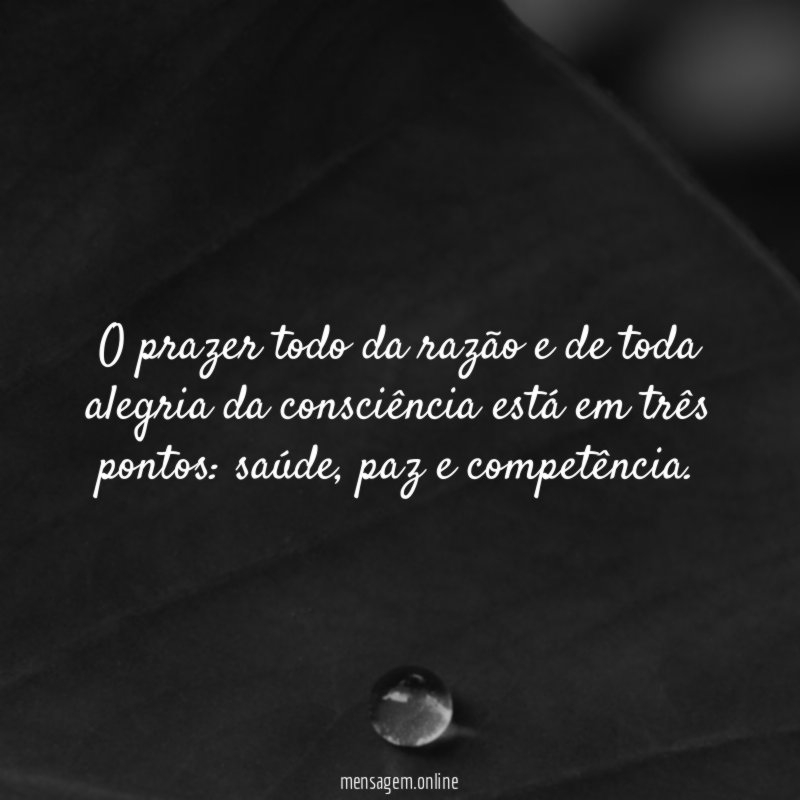 O prazer todo da razão e de toda