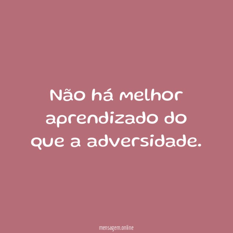 Não há melhor aprendizado do que a adversidade