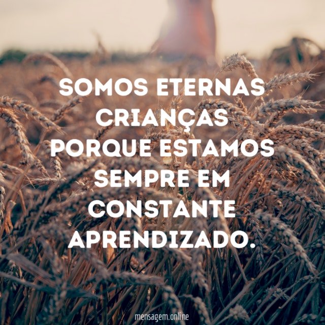 Somos eternas crianças porque estamos sempre em constante aprendizado