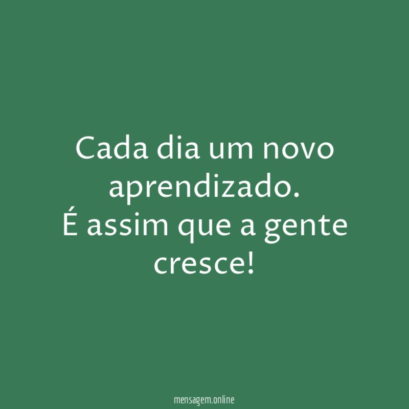 Cada dia um novo aprendizado
