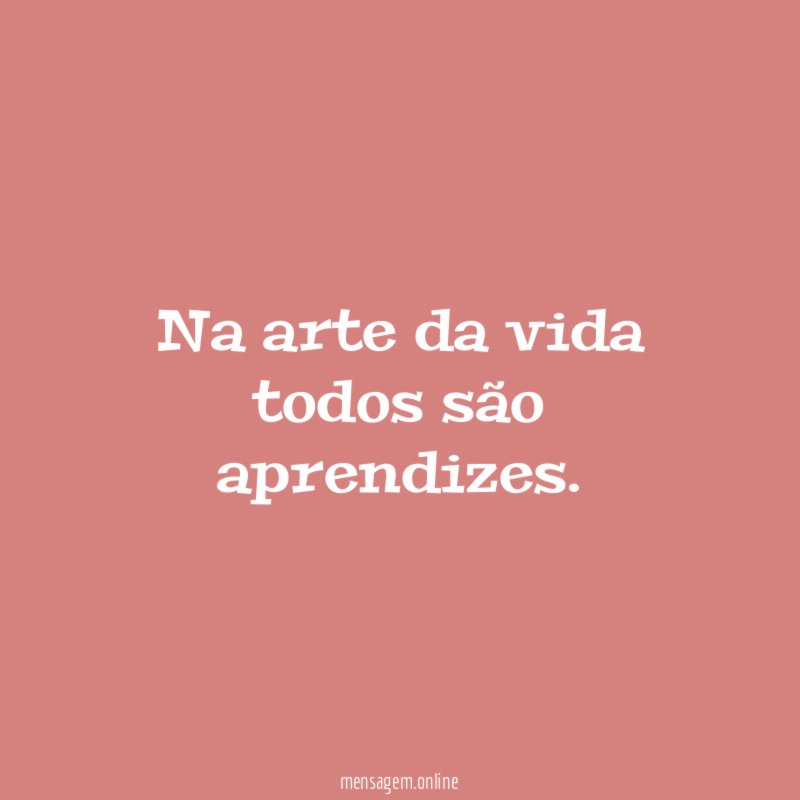 Na arte da vida todos são aprendizes
