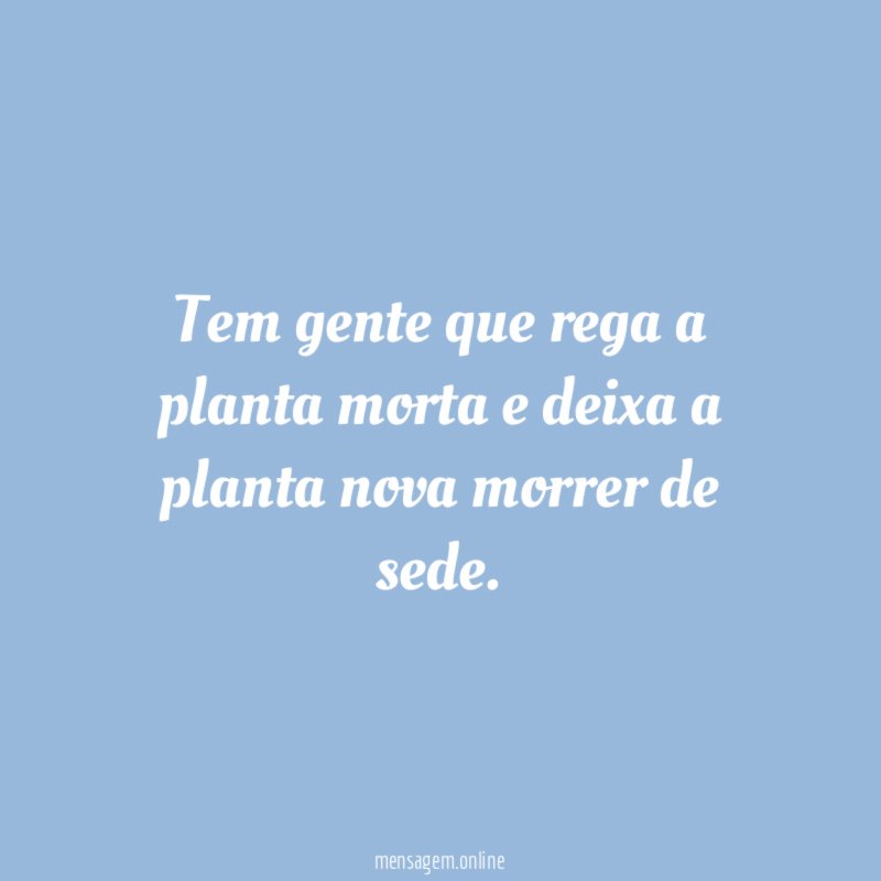 Tem gente que rega a planta morta