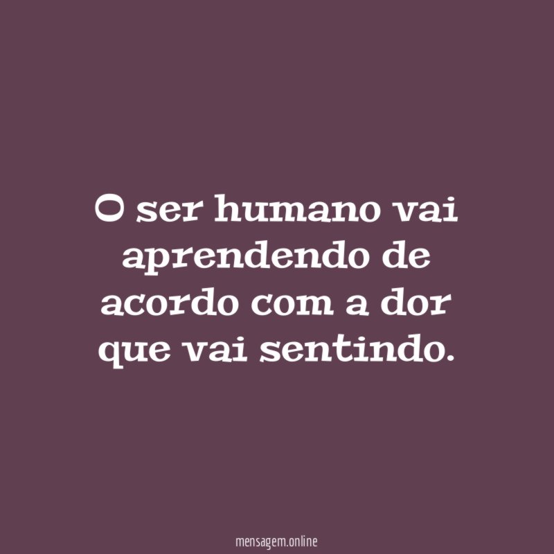 O ser humano vai aprendendo de acordo com