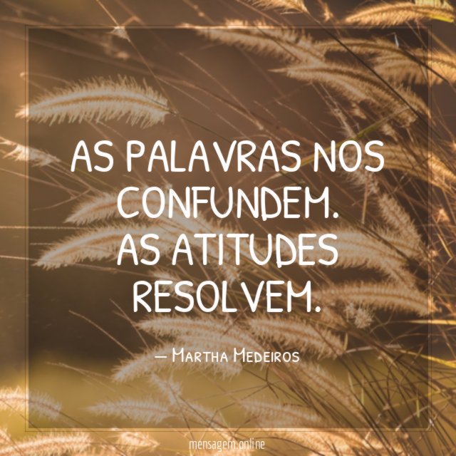 As palavras nos confundem