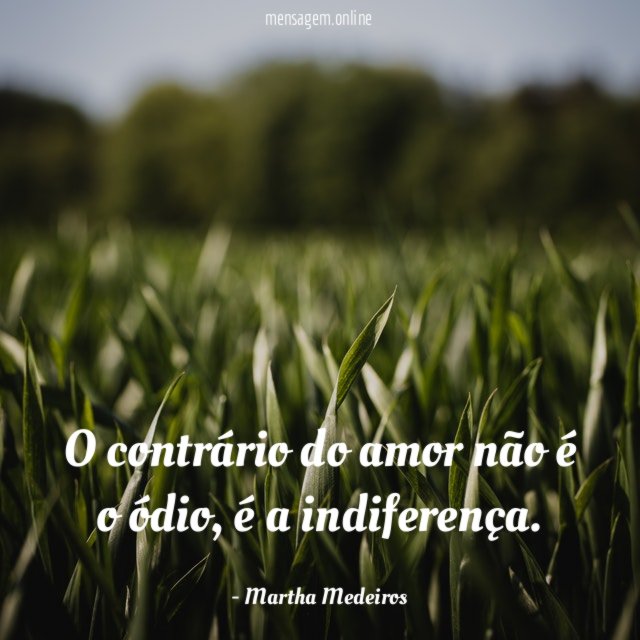 O contrário do amor não é o ódio