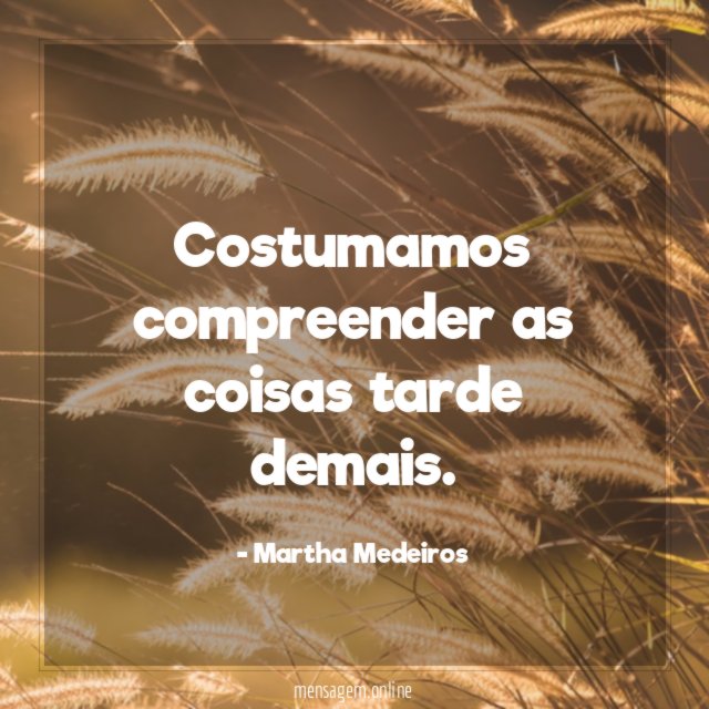 Costumamos compreender as coisas tarde demais