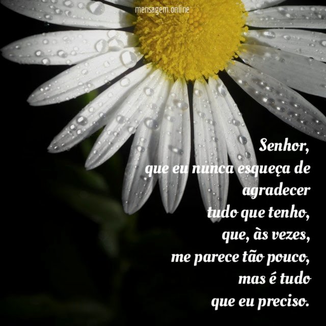 Senhor