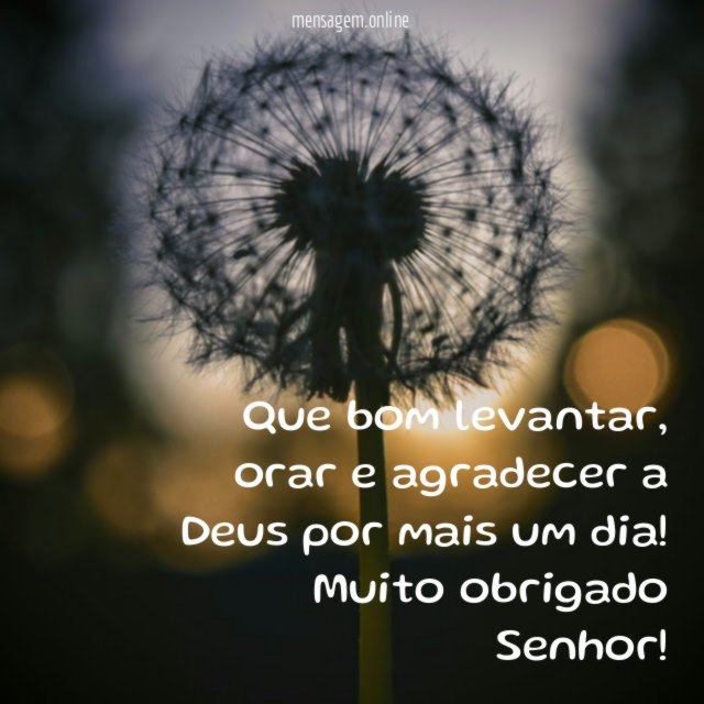 Que bom levantar