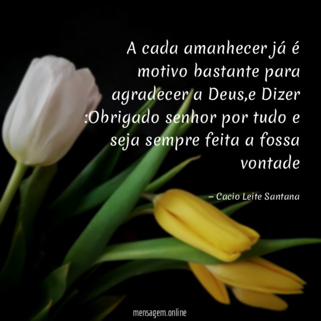A cada amanhecer já é motivo bastante para agradecer a Deus