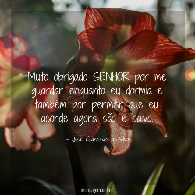 Muito obrigado SENHOR por me guardar enquanto eu