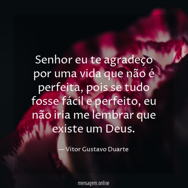 Senhor eu te agradeço por uma vida que não é perfeita