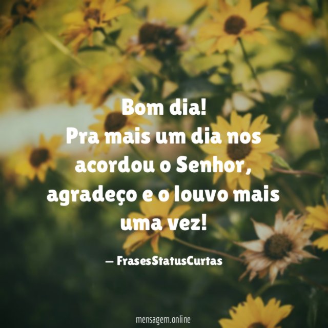 Bom dia