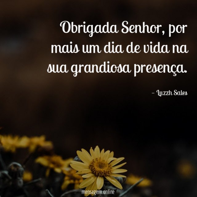 Obrigada Senhor