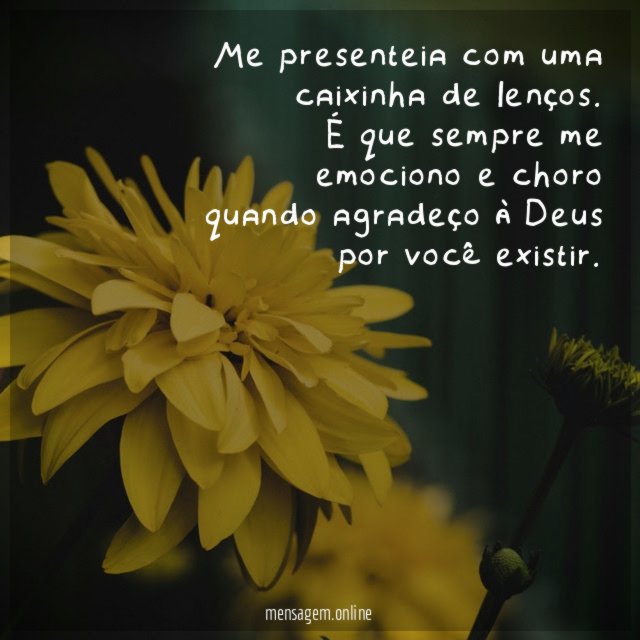 Me presenteia com uma caixinha de lenços