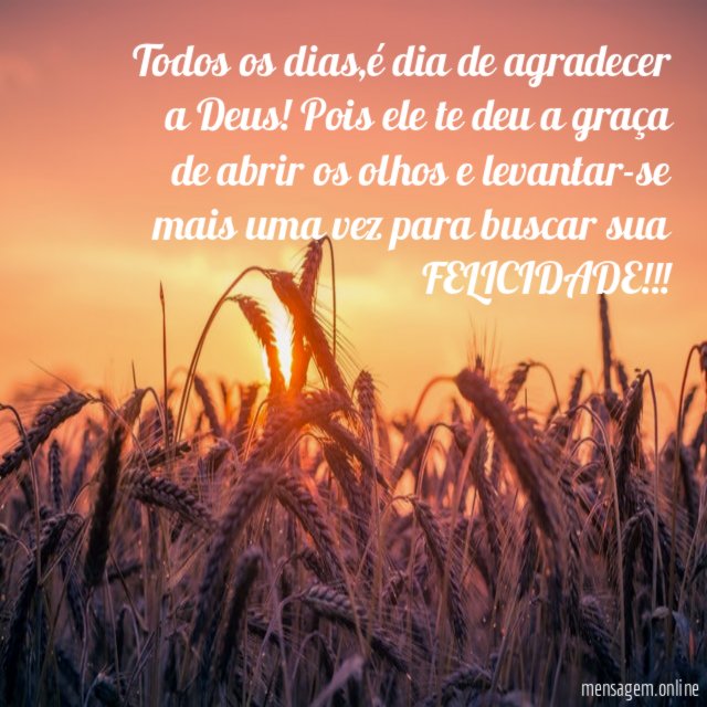 Todos os dias