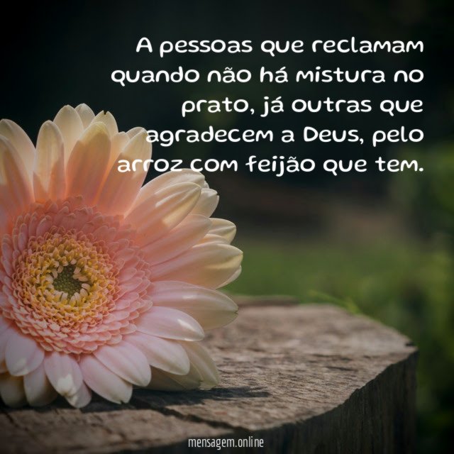 A pessoas que reclamam quando não há mistura no prato