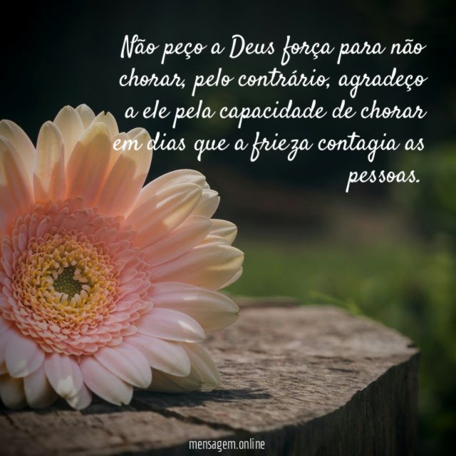 Não peço a Deus força para não chorar