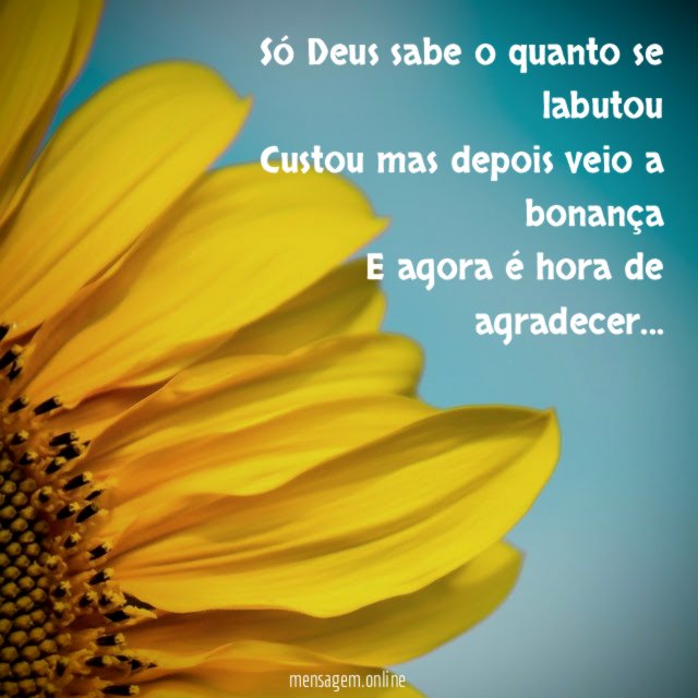 Só Deus sabe o quanto se labutou Custou mas