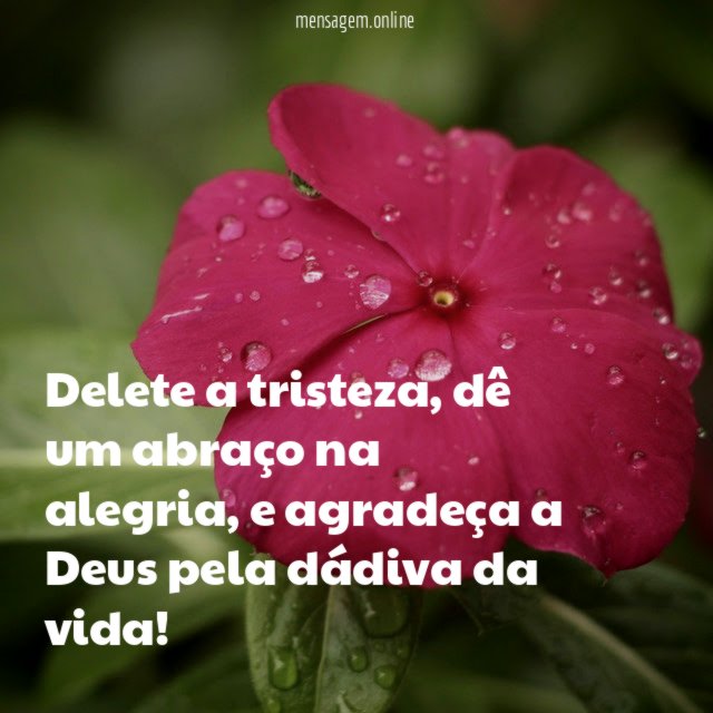 Delete a tristeza