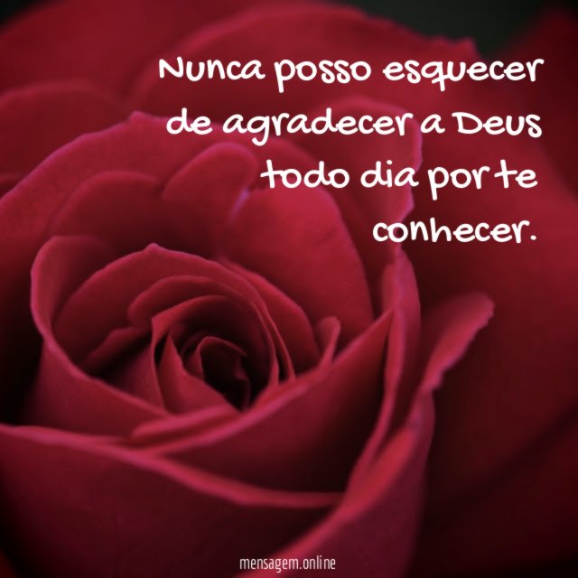 Nunca posso esquecer de agradecer a Deus todo dia por te conhecer