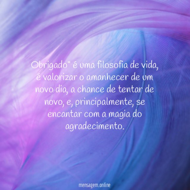 Filosofia do obrigado