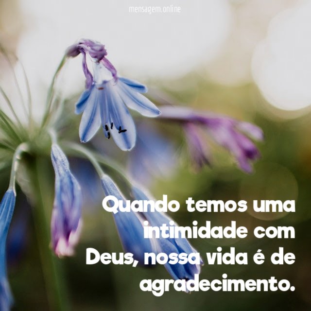 Quando temos uma intimidade com Deus