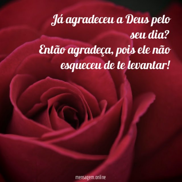 Já agradeceu a Deus pelo seu dia