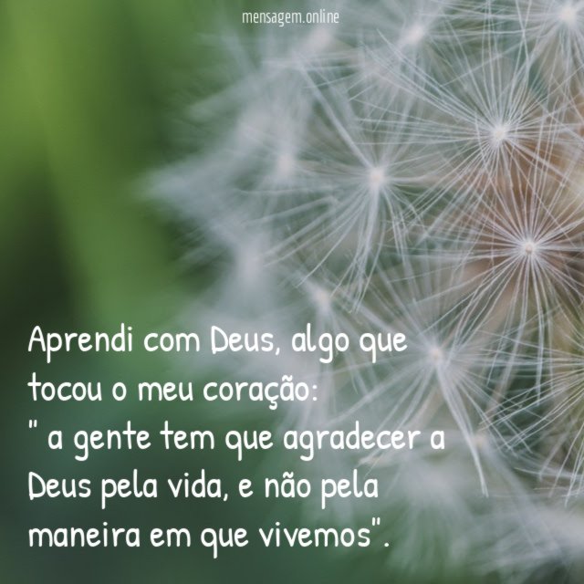 Aprendi com Deus