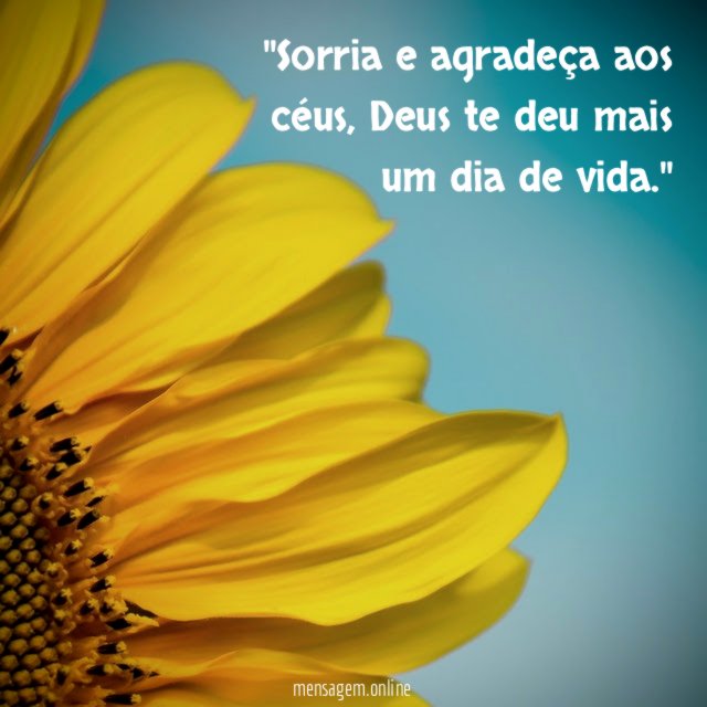 'Sorria e agradeça aos céus