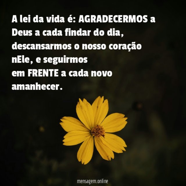 A lei da vida é