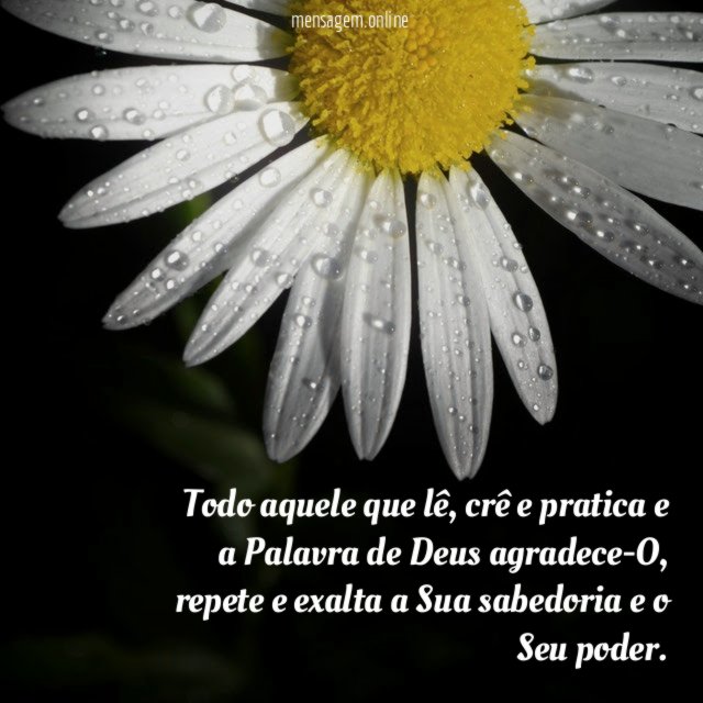 Todo aquele que lê