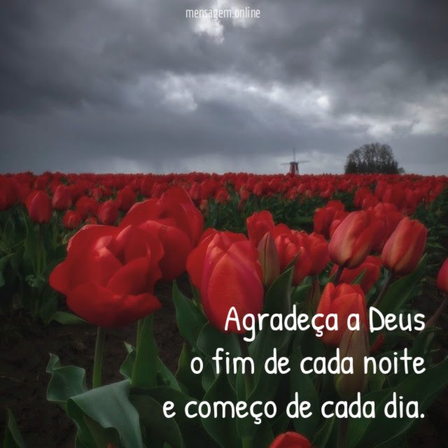 Agradeça a Deus o fim de cada noite e começo