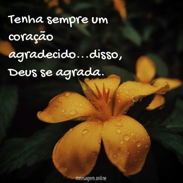 Tenha sempre um coração agradecido