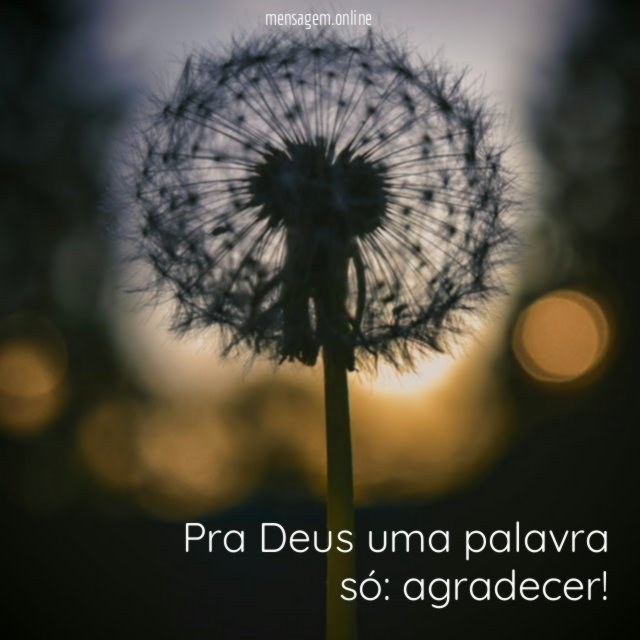 Pra Deus uma palavra só