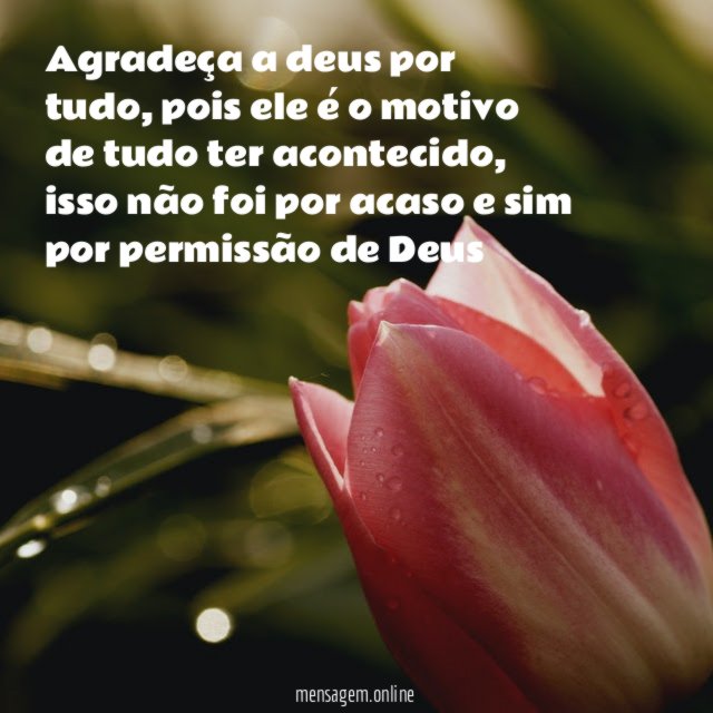 Agradeça a deus por tudo