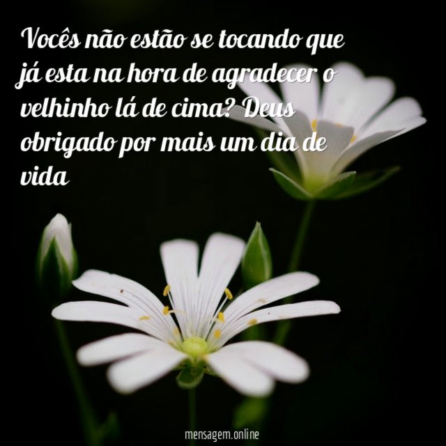 Vocês não estão se tocando que já