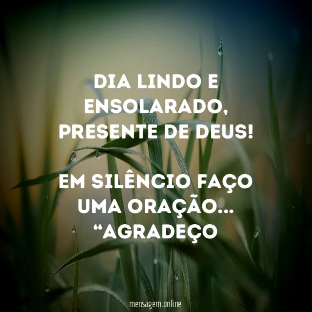 Dia lindo e ensolarado