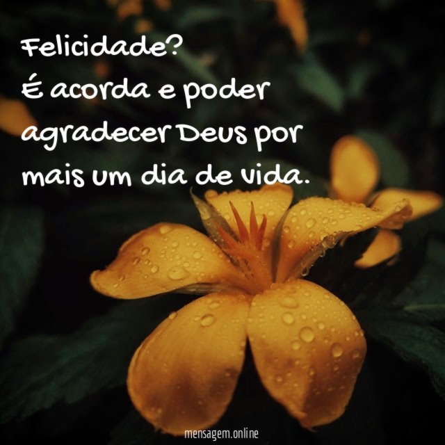 Felicidade