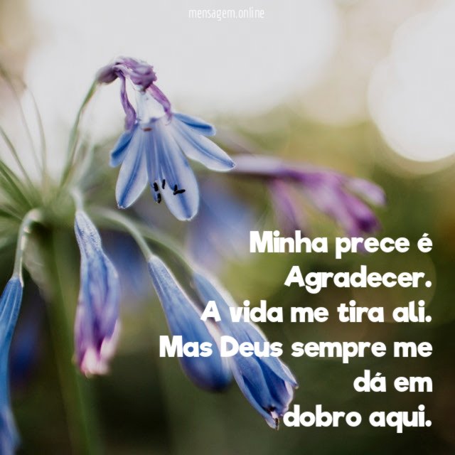 Minha prece é Agradecer