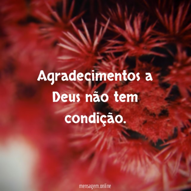 Agradecimentos a Deus não tem condição