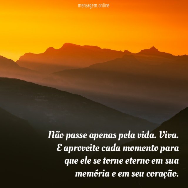 Não passe apenas pela vida