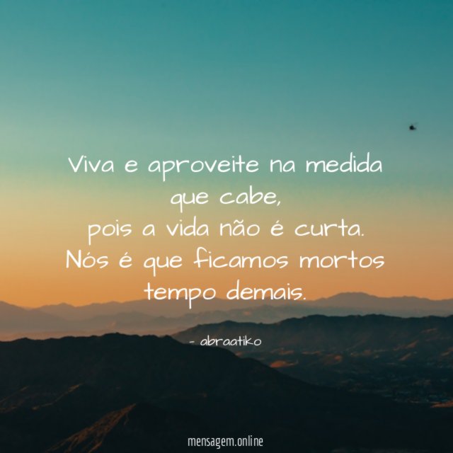 Viva e aproveite na medida que cabe
