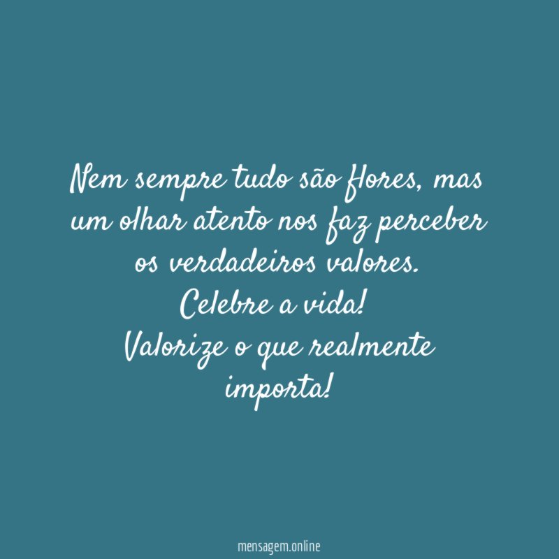 Nem sempre tudo são flores