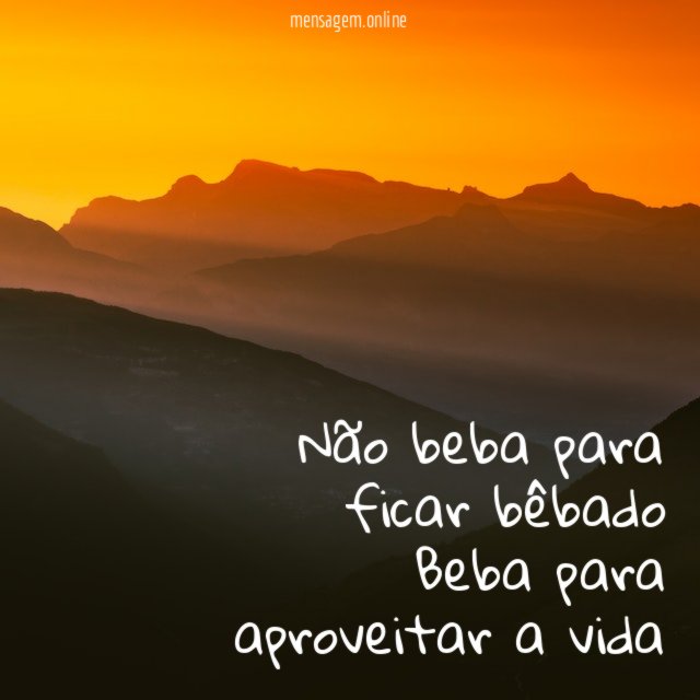 Não beba para ficar bêbado Beba para aproveitar a vida