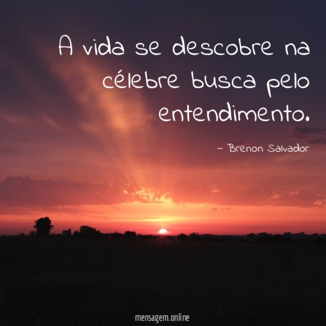 A vida se descobre na célebre busca pelo entendimento